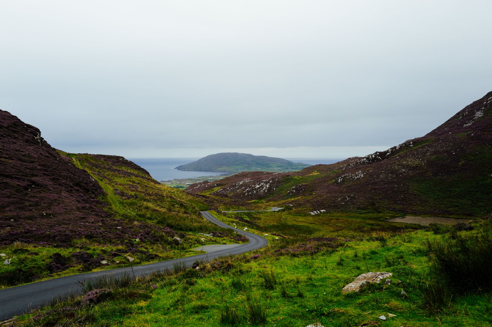 A quiet road winding off between green Mayo hills, the sort of road every learner ends up on in the end